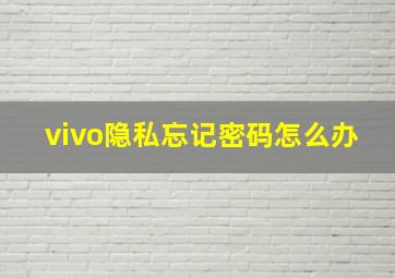 vivo隐私忘记密码怎么办