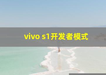 vivo s1开发者模式