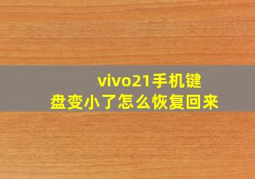 vivo21手机键盘变小了怎么恢复回来