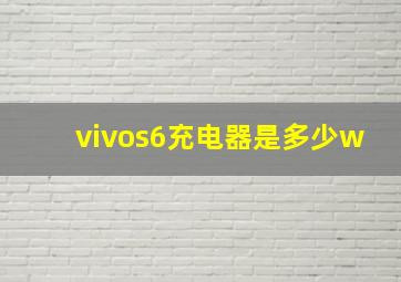 vivos6充电器是多少w