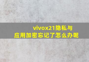 vivox21隐私与应用加密忘记了怎么办呢