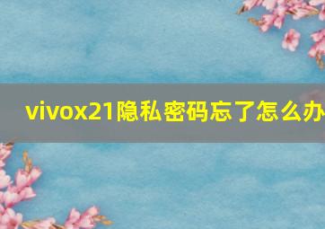 vivox21隐私密码忘了怎么办