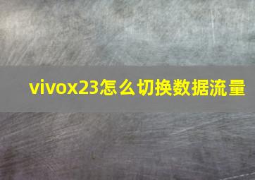 vivox23怎么切换数据流量