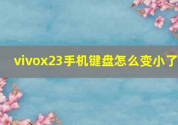 vivox23手机键盘怎么变小了