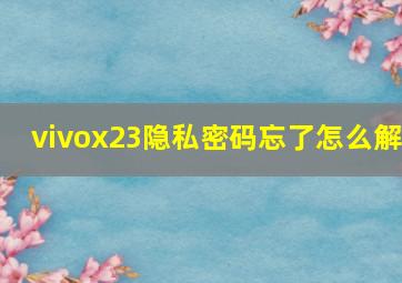 vivox23隐私密码忘了怎么解