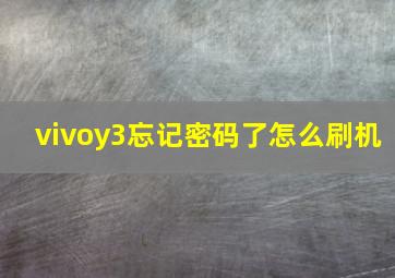 vivoy3忘记密码了怎么刷机