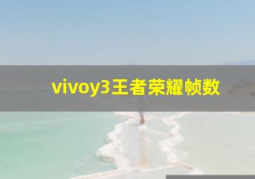 vivoy3王者荣耀帧数