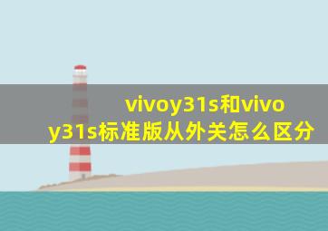 vivoy31s和vivoy31s标准版从外关怎么区分