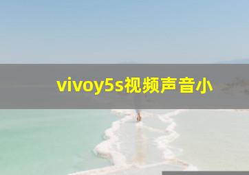 vivoy5s视频声音小