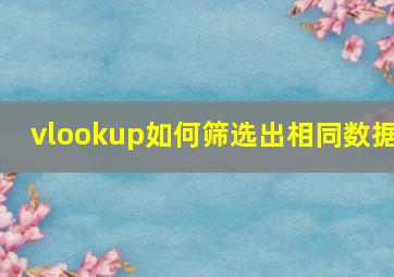 vlookup如何筛选出相同数据