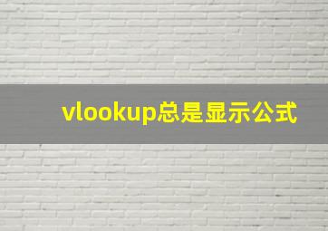 vlookup总是显示公式