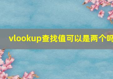 vlookup查找值可以是两个吗