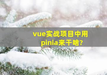 vue实战项目中用pinia来干啥?