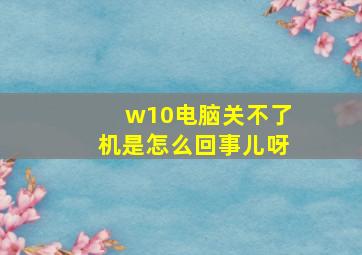 w10电脑关不了机是怎么回事儿呀