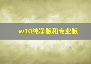 w10纯净版和专业版