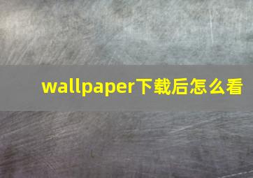 wallpaper下载后怎么看