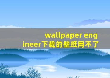 wallpaper engineer下载的壁纸用不了