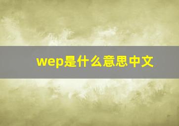 wep是什么意思中文