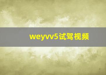 weyvv5试驾视频