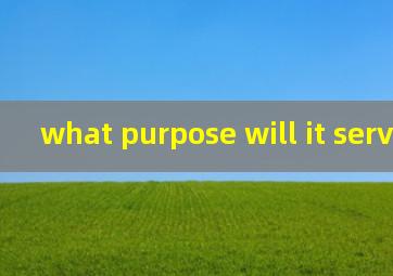 what purpose will it serve翻译