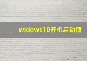 widows10开机启动项