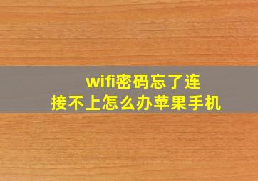 wifi密码忘了连接不上怎么办苹果手机