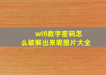 wifi数字密码怎么破解出来呢图片大全