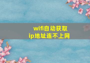 wifi自动获取ip地址连不上网