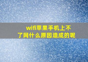 wifi苹果手机上不了网什么原因造成的呢