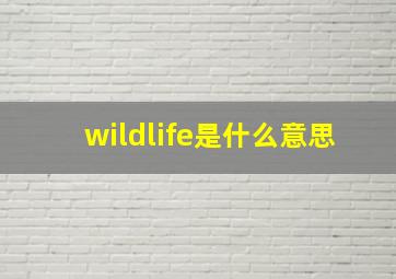 wildlife是什么意思