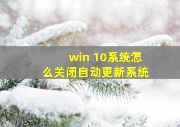 win 10系统怎么关闭自动更新系统