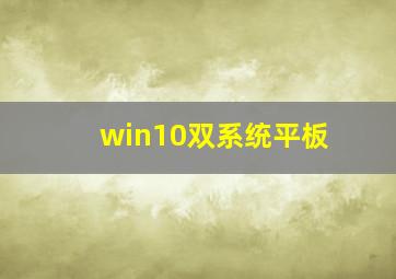 win10双系统平板