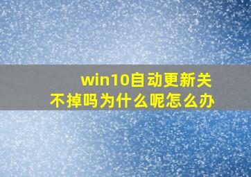 win10自动更新关不掉吗为什么呢怎么办