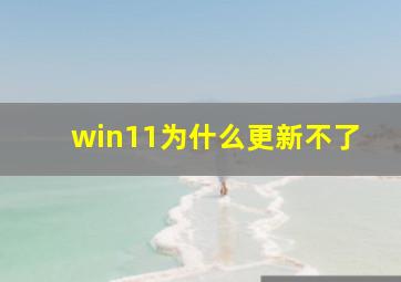 win11为什么更新不了