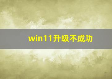 win11升级不成功