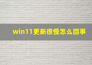 win11更新很慢怎么回事