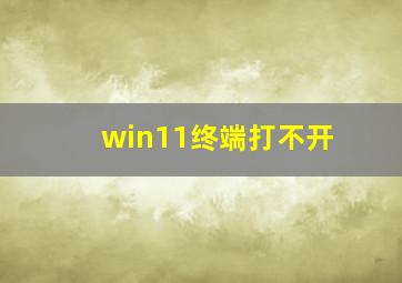 win11终端打不开