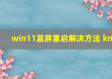 win11蓝屏重启解决方法 km