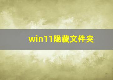 win11隐藏文件夹