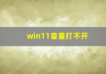 win11音量打不开