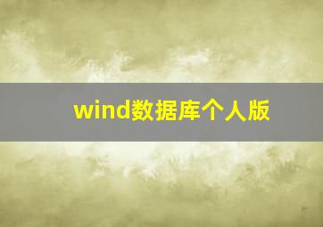 wind数据库个人版