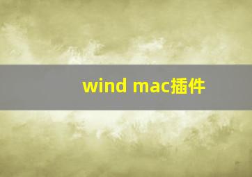 wind mac插件