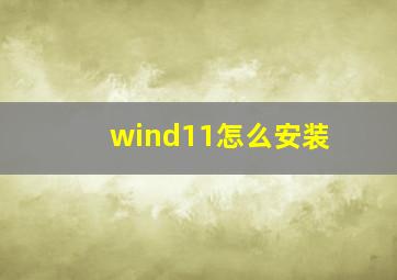 wind11怎么安装