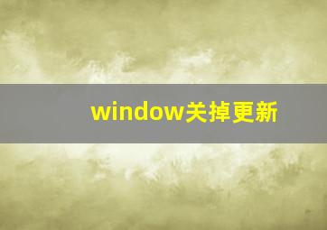 window关掉更新