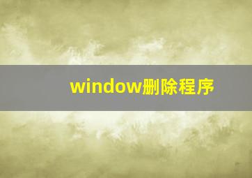 window删除程序