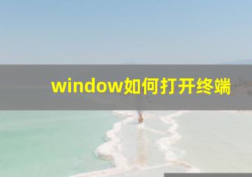 window如何打开终端