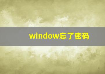 window忘了密码