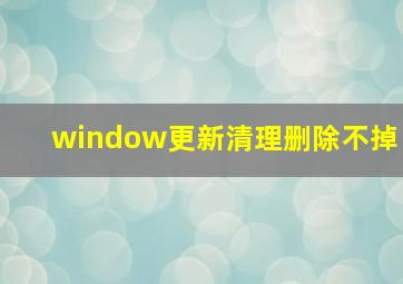 window更新清理删除不掉