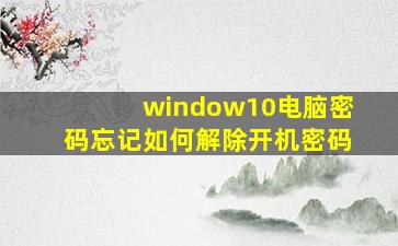 window10电脑密码忘记如何解除开机密码