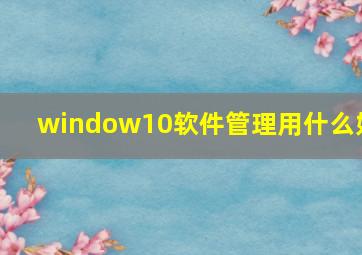 window10软件管理用什么好